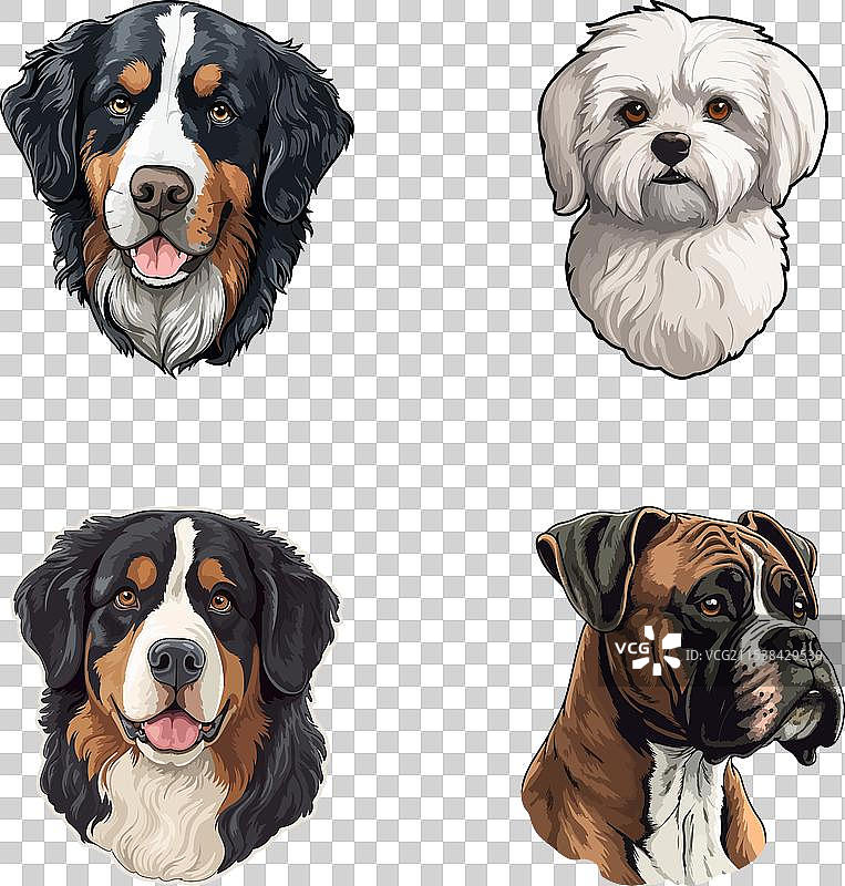 狗狗平面图标集，孤立在白色背景上图片素材