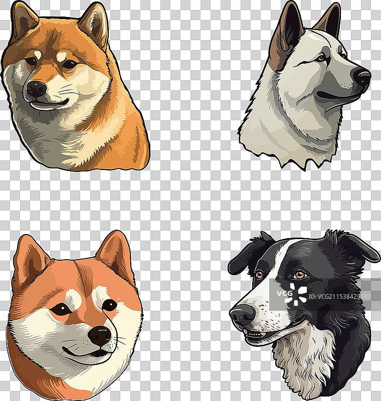 狗狗平面图标集，孤立在白色背景上图片素材