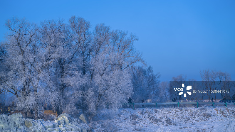 雾松～吉林雾凇岛图片素材