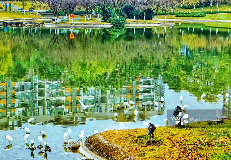 碧落湖边图片素材