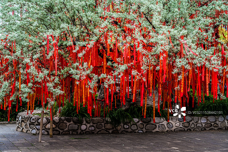 树上悬挂的彩带图片素材