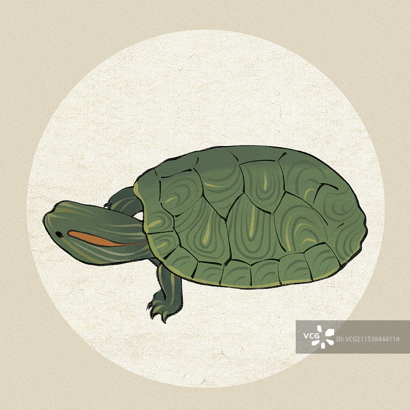 手绘卡通乌龟巴西龟金钱龟招财宠物插画图片素材