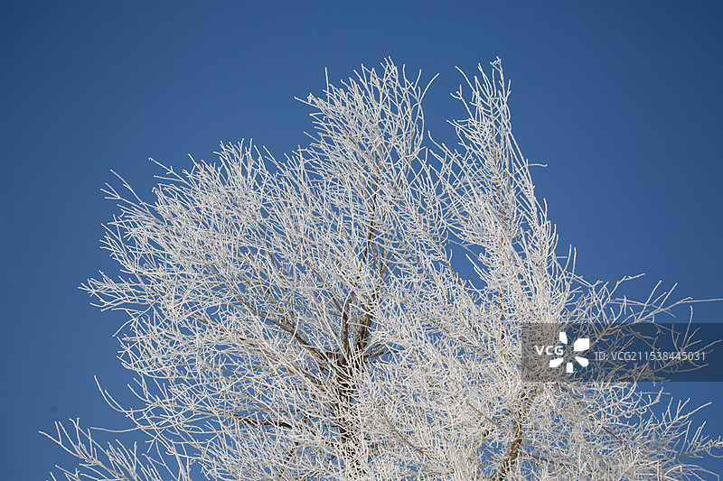 吉林雾凇图片素材