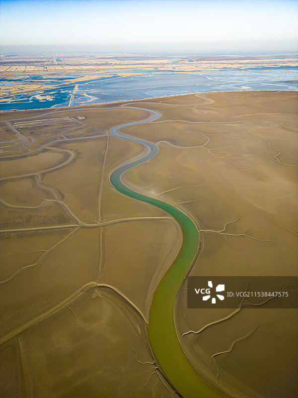 潮汐之树图片素材