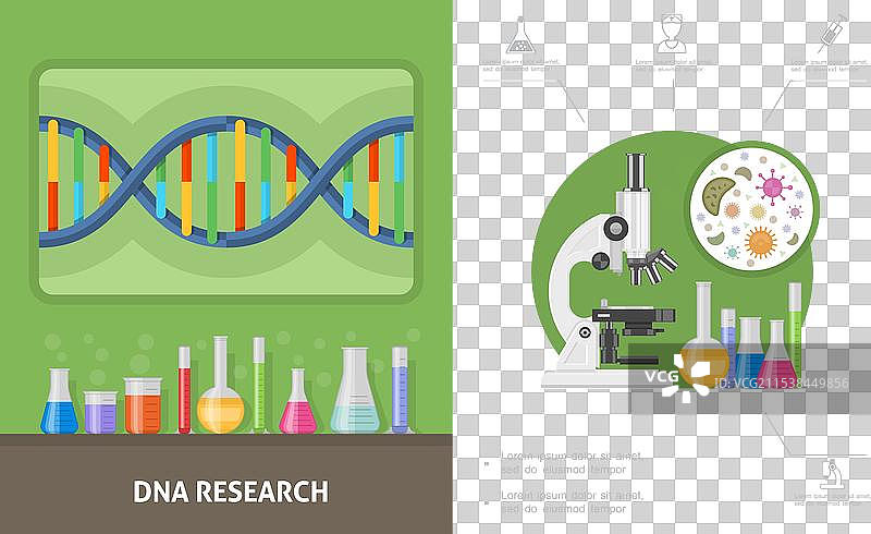 平面遗传研究构图图片素材