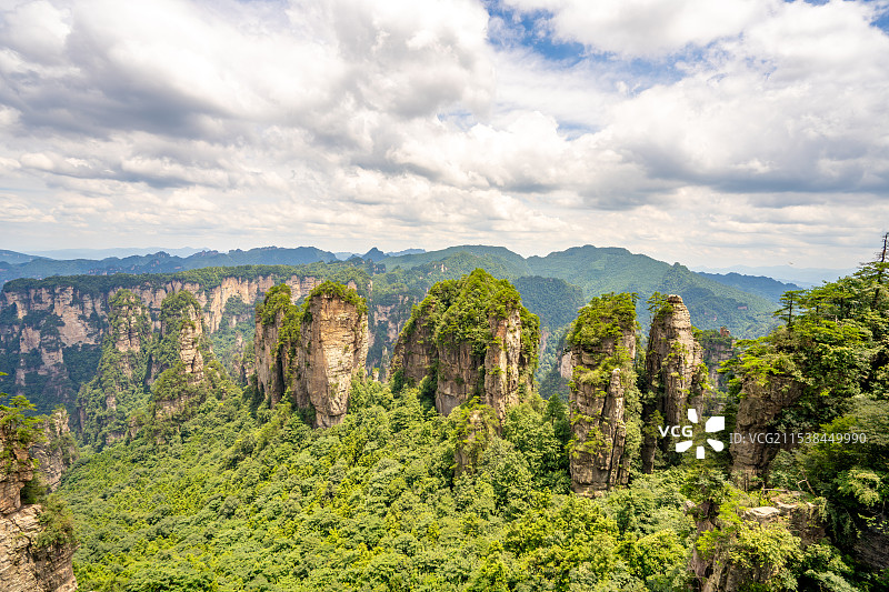 中国湖南张家界景区奇特山峰与茂密森林图片素材