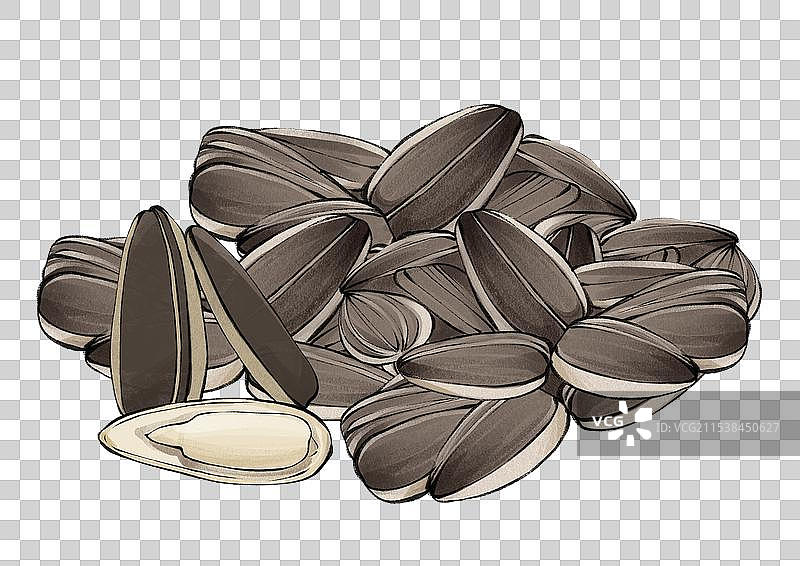 瓜子干果葵花坚果向日葵的种子手绘插画元素图片素材