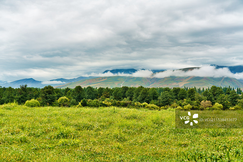 那拉提河谷草原图片素材