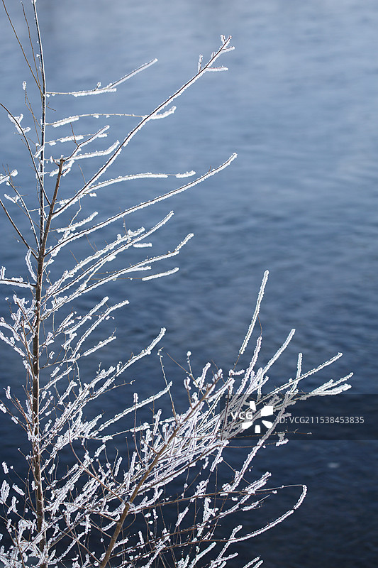 吉林雾凇图片素材