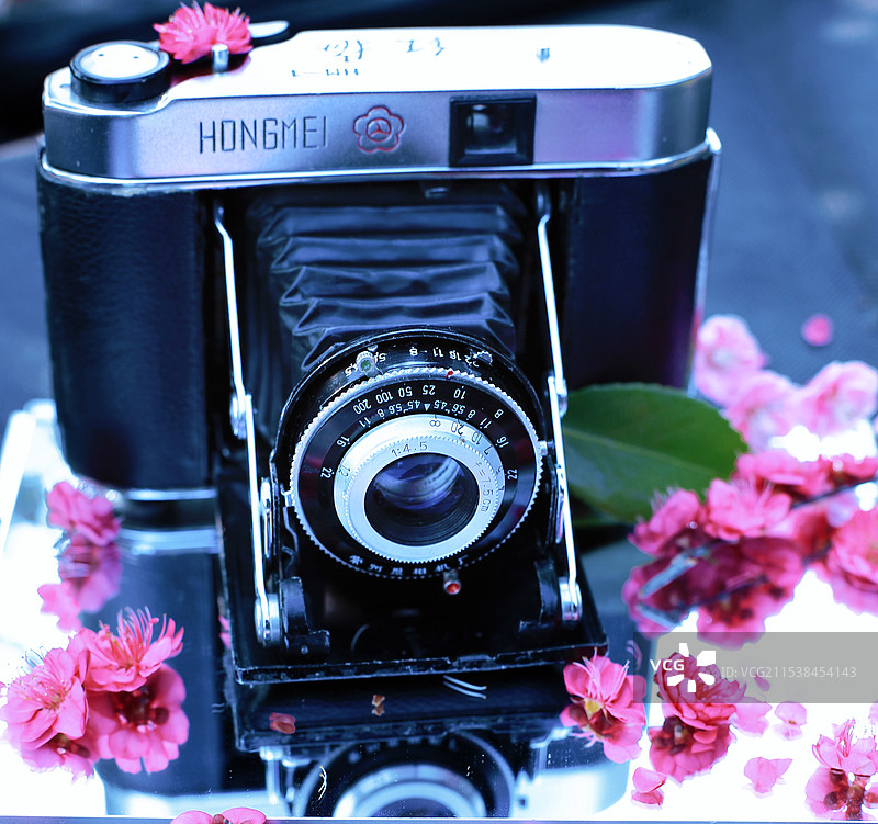 红梅花儿开图片素材