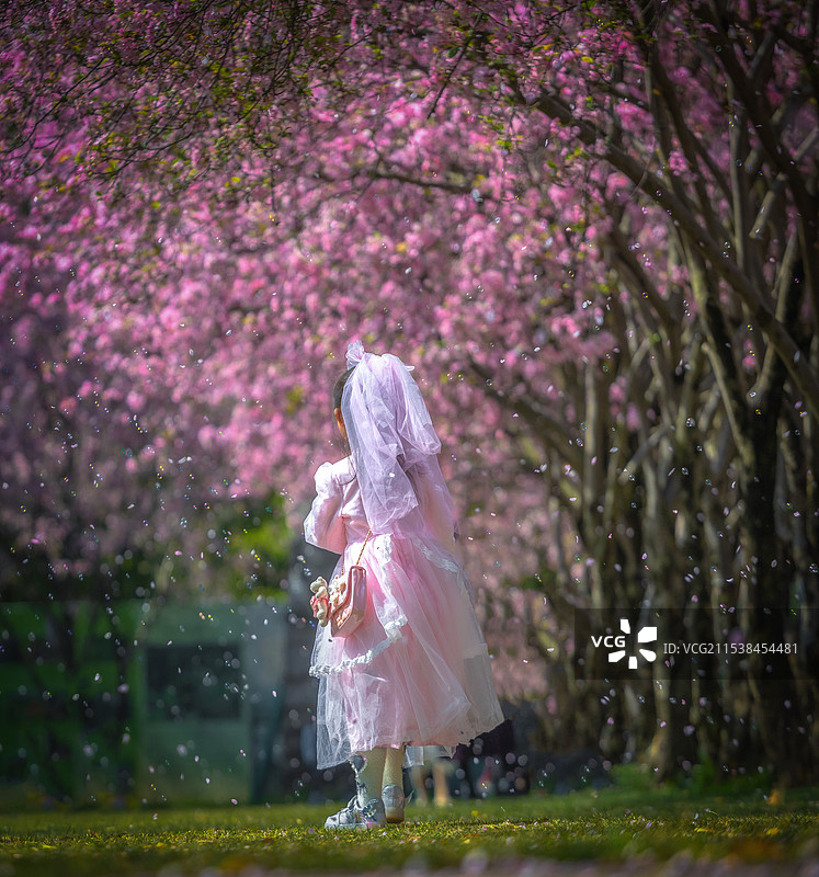 昆明市西华公园图片素材