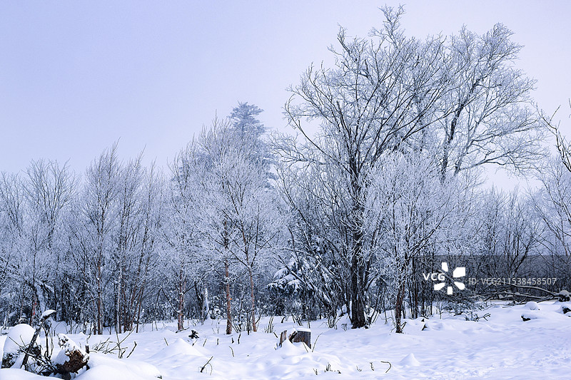 吉林北大湖滑雪场山顶冬天雾凇雪景图片素材