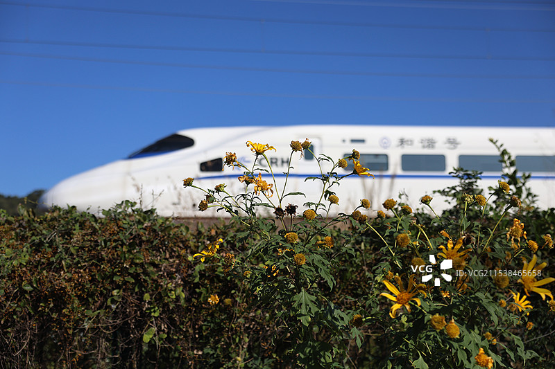 福厦高铁动车组列车图片素材
