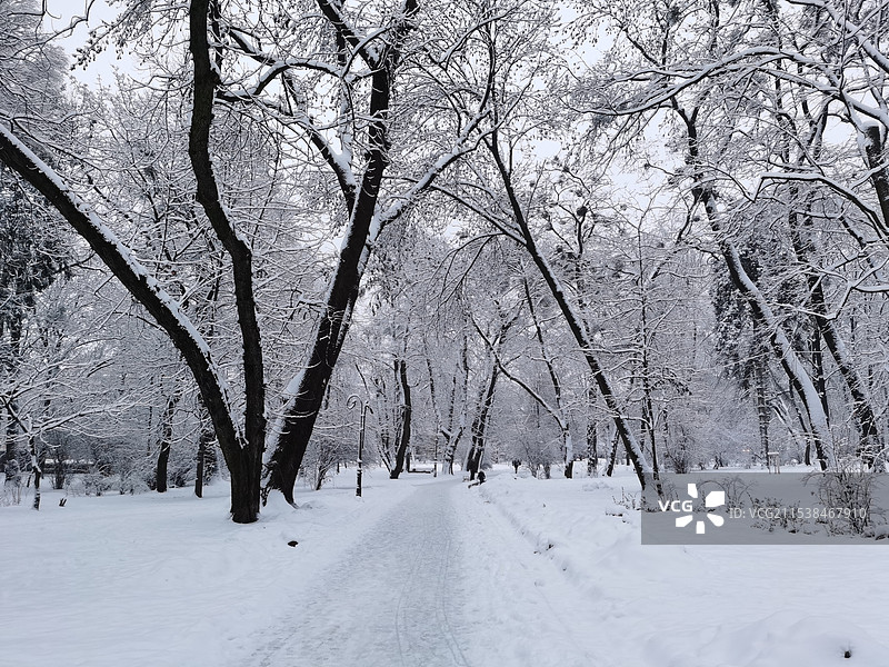 乌克兰利沃夫2021年12月离俄乌战争开始2个月前的街道风景图片素材