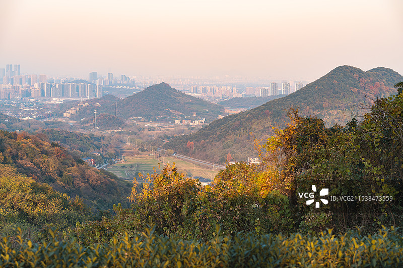 杭州余杭牛头山俯瞰下的秋天森林和未来科技城图片素材