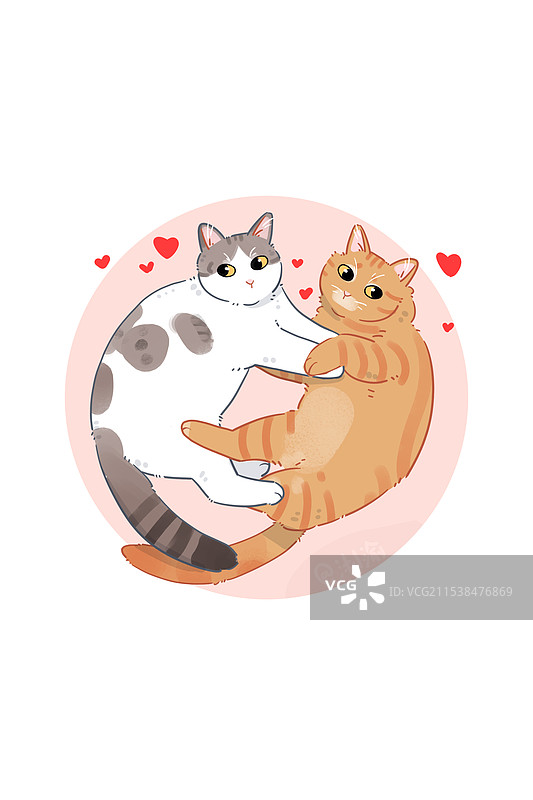 猫咪素材图片素材