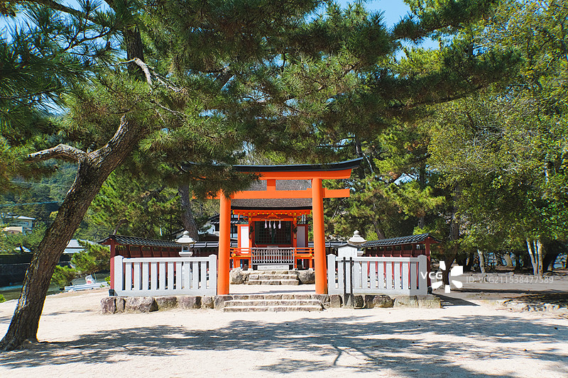 日本广岛宫岛上的清盛神社与松树树林图片素材