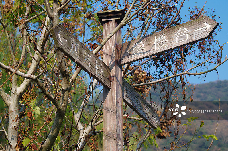 杭州皋亭山木质标识牌特写 木香廊 落樱台图片素材