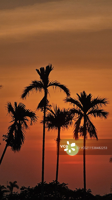 椰岛落日情调图片素材