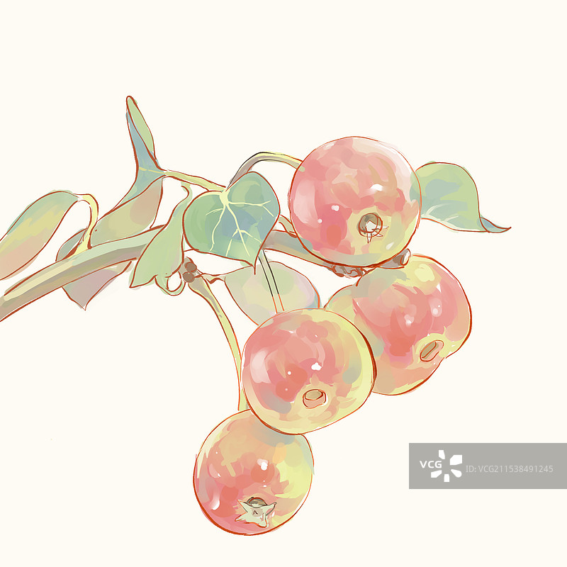 酸酸甜甜的小苹果图片素材