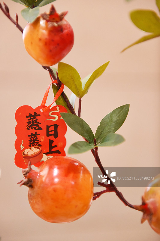 中国春节灯笼、龙灯、字谜、福字等传统年俗图片素材