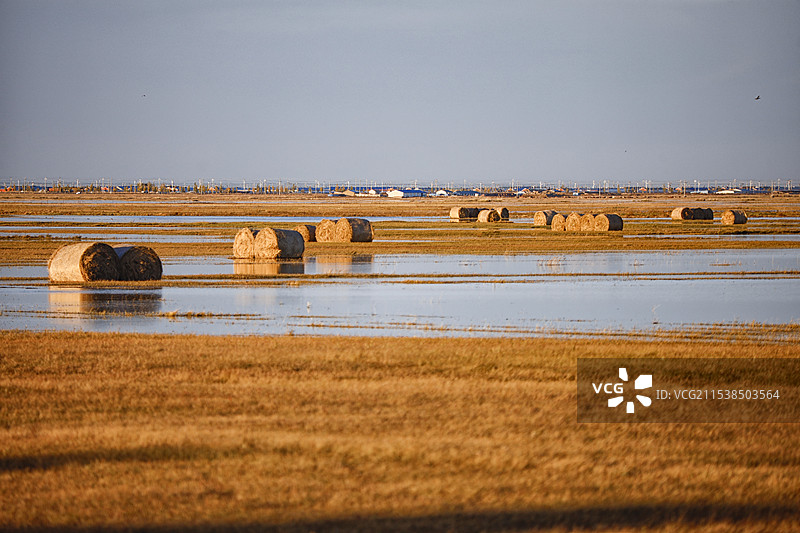 内蒙古呼伦贝尔大草原湿地上的干草垛图片素材