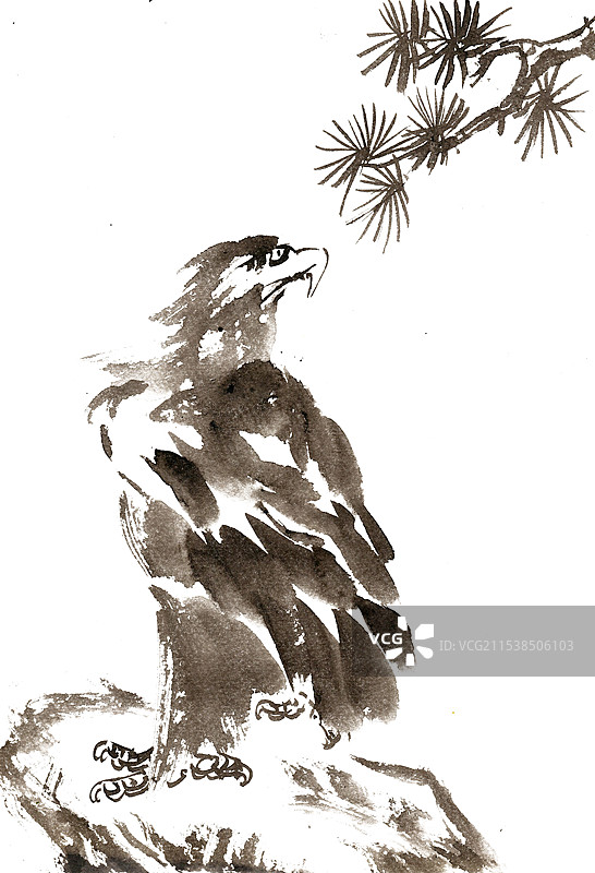 岩石上的鹰图片素材