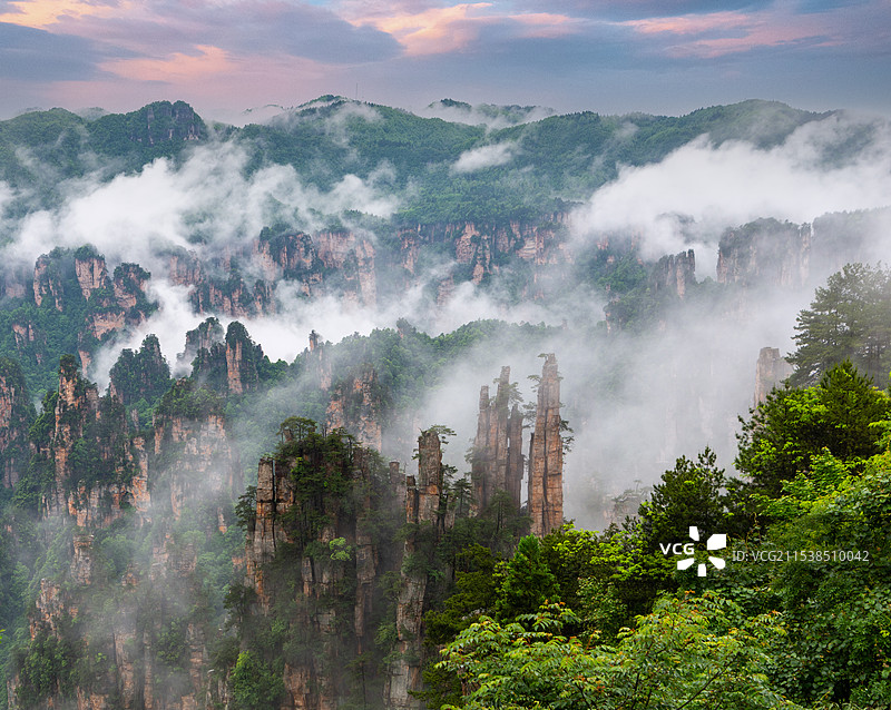 ZHANGJJshentw21-6789-编辑图片素材