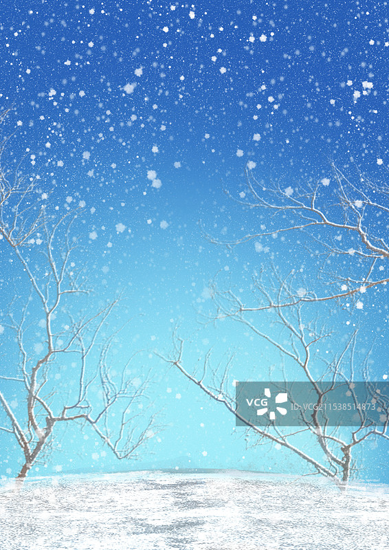 冬天蓝色天空背景下雪生长的积雪树木图片素材