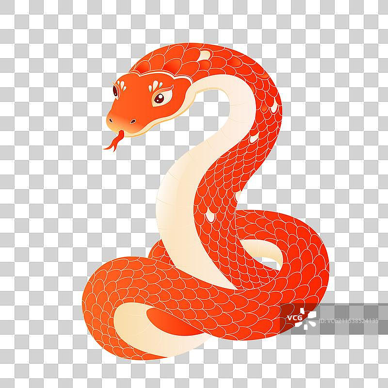 国风蛇年十二生肖蛇动物插画图片素材