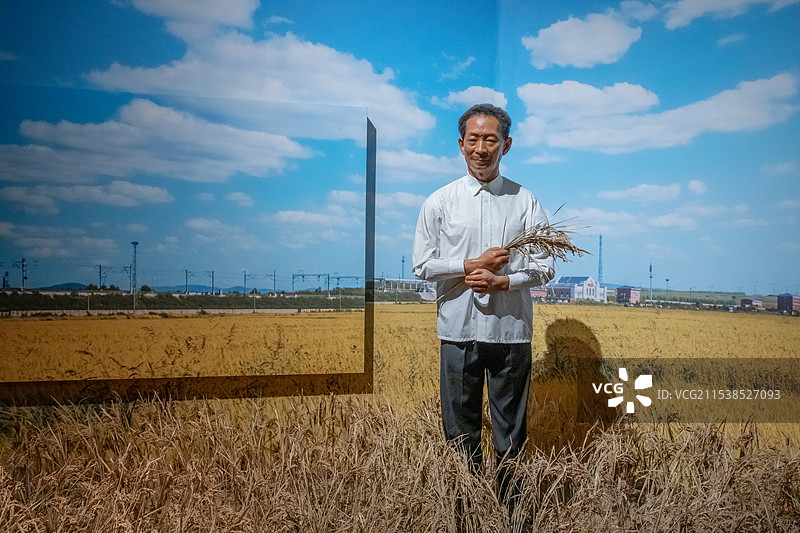 中国国家博物馆英模蜡像馆袁隆平(1930-2021)江西德安人著名农业科学家杂交水稻研究的开创者杂交图片素材