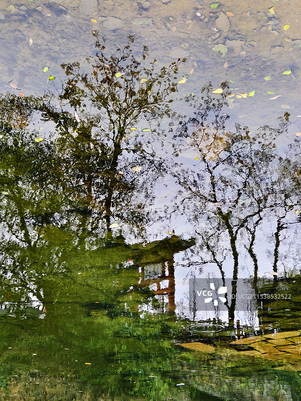 秋水映树在清澈的水面上，树木的倒影与真实的景致交织在一起，形成精美画卷！拍摄于零陵区愚溪南路！图片素材