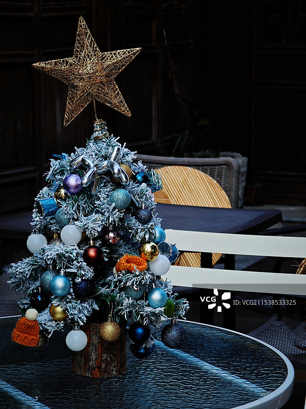 街拍-小圣诞树图片素材