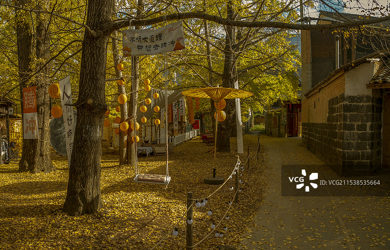 腾冲银杏村1图片素材