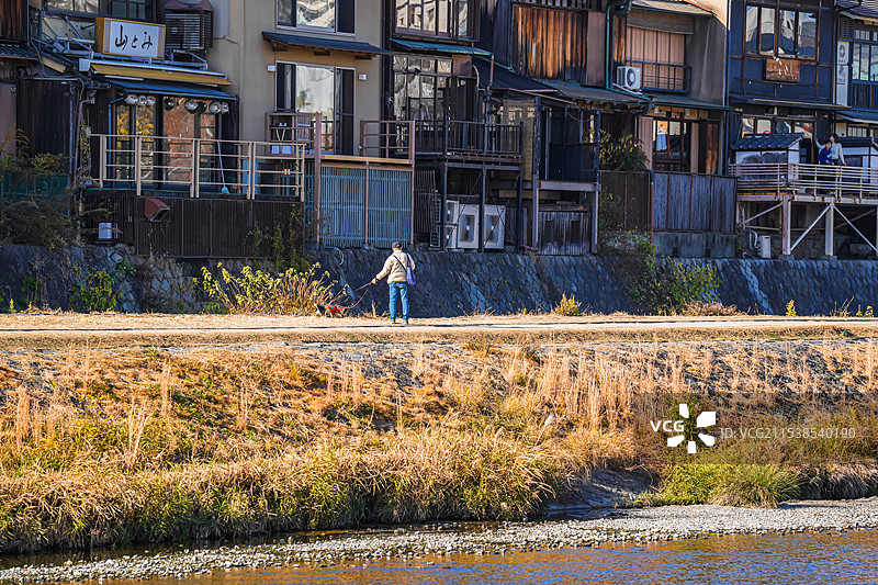日本 京都 鸭川 秋天景色 休闲 放松图片素材