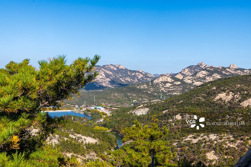 赤松林生态类型-昆嵛山图片素材