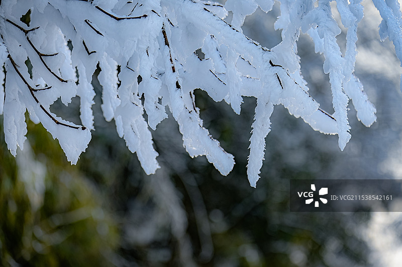 唯美雾凇冬日树林图片素材