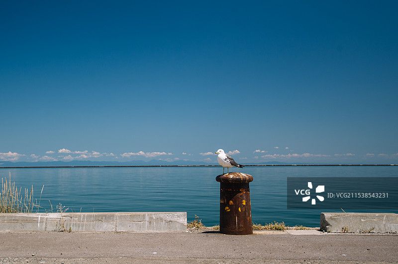 北海道-小樽城市街景图片素材