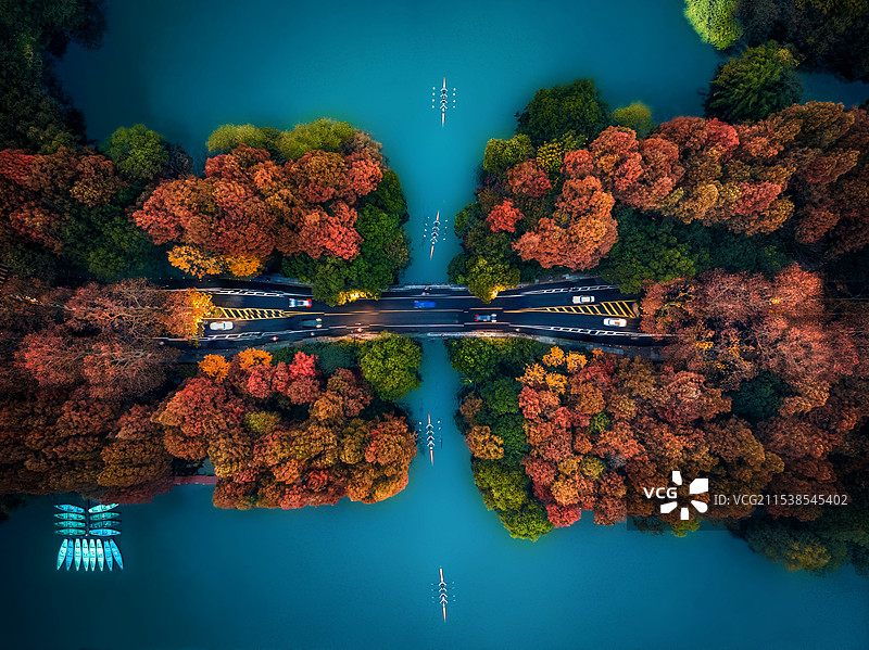 深秋的杨公堤图片素材