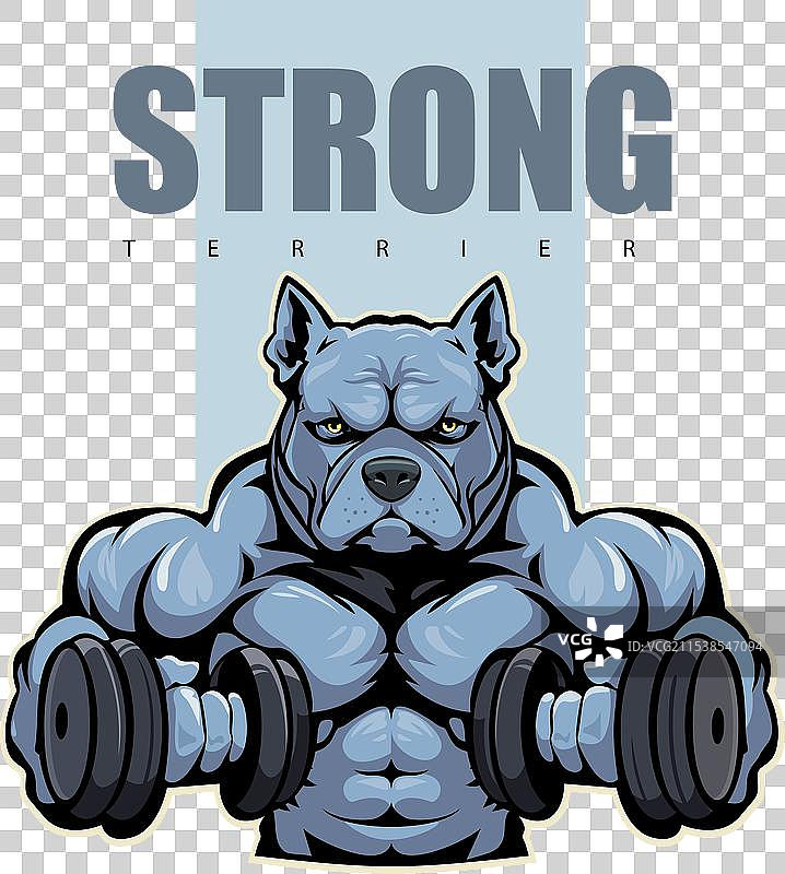 美国斗牛犬标志图片素材