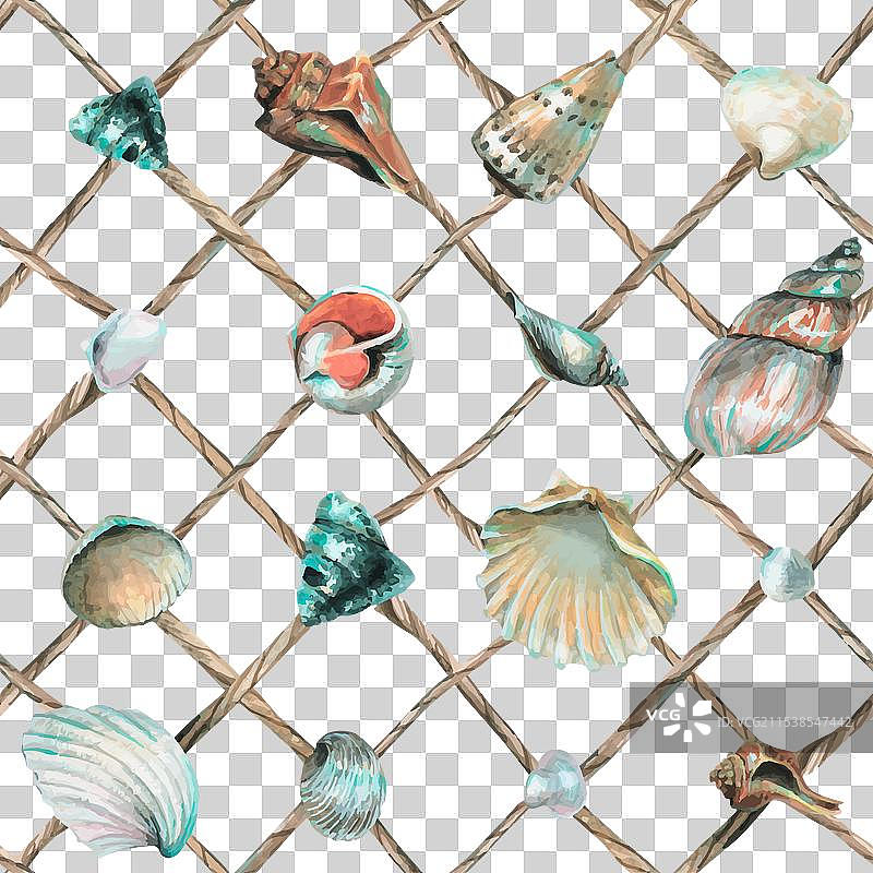 贝壳挂在用绳子编织的渔网中图片素材