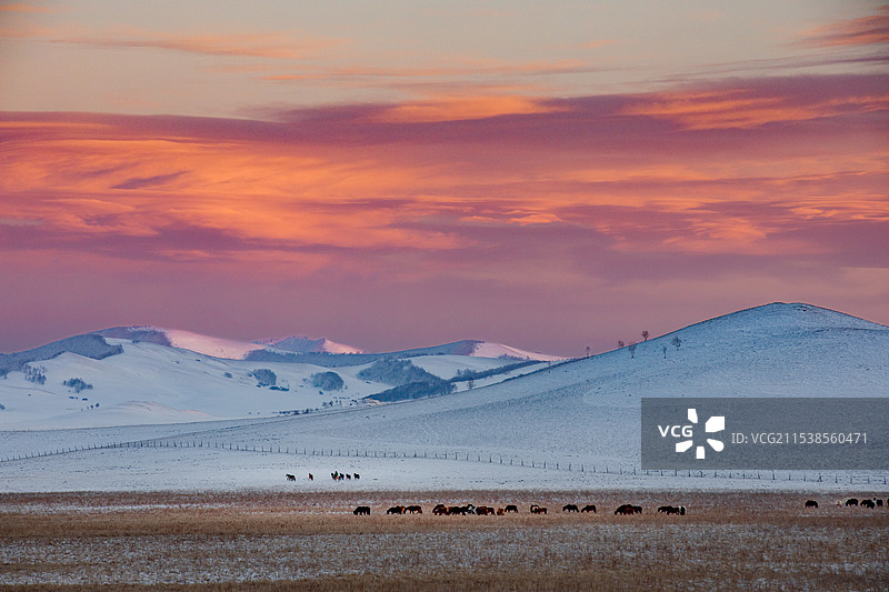 内蒙坝上冬日风光图片素材
