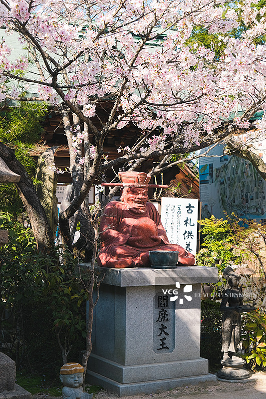 日本宫岛弥山大圣寺内樱花树下的阎魔大王雕像图片素材