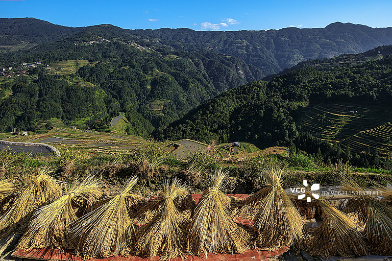 从江县加榜梯田之晒秋图片素材