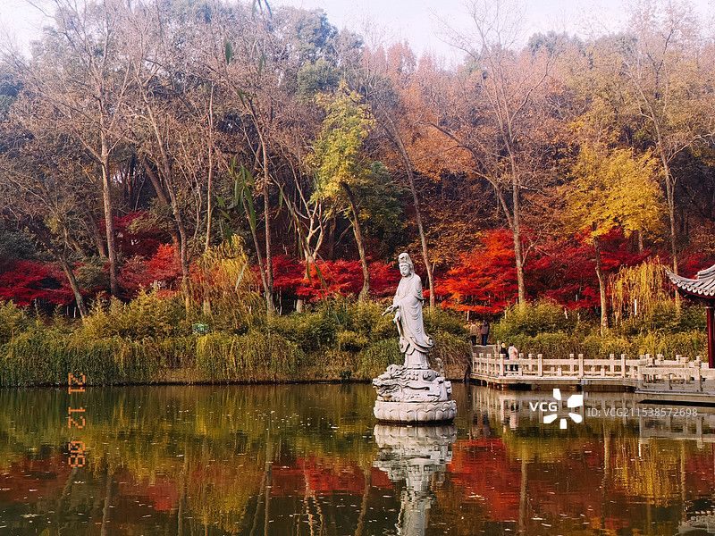 南京栖霞寺枫叶图片素材