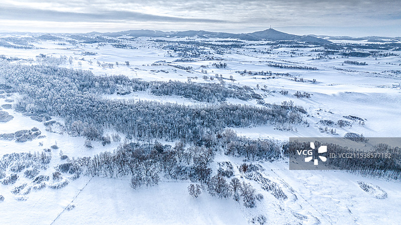 内蒙古乌兰布统雾凇雪景雪林图片素材