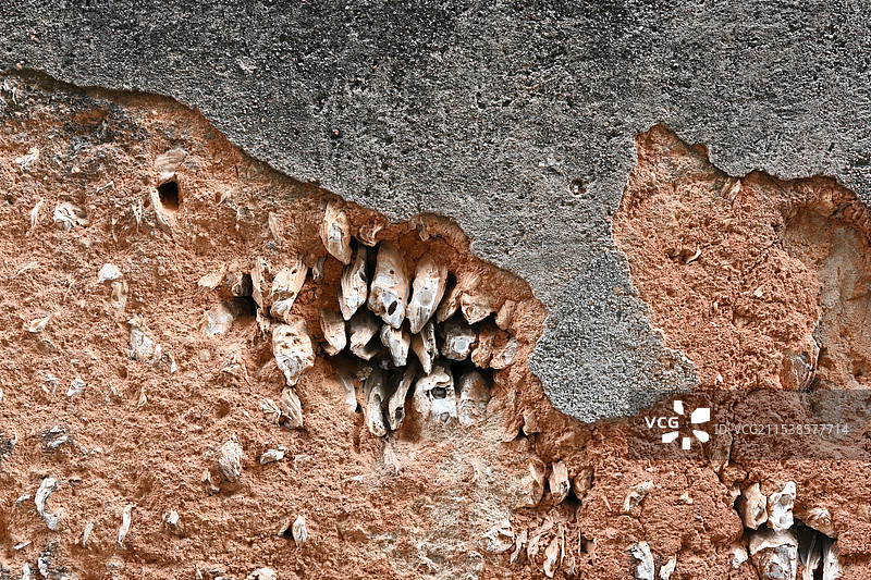 蚝壳墙图片素材