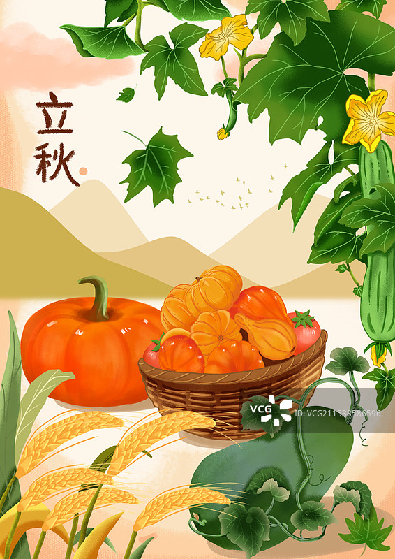 二十四节气之立秋图片素材