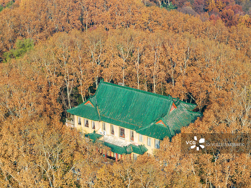 航拍南京钟山风景区-美龄宫-梧桐项链图片素材