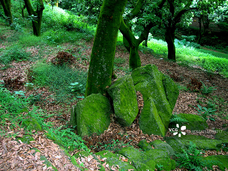 户外风情摄影作品图片素材